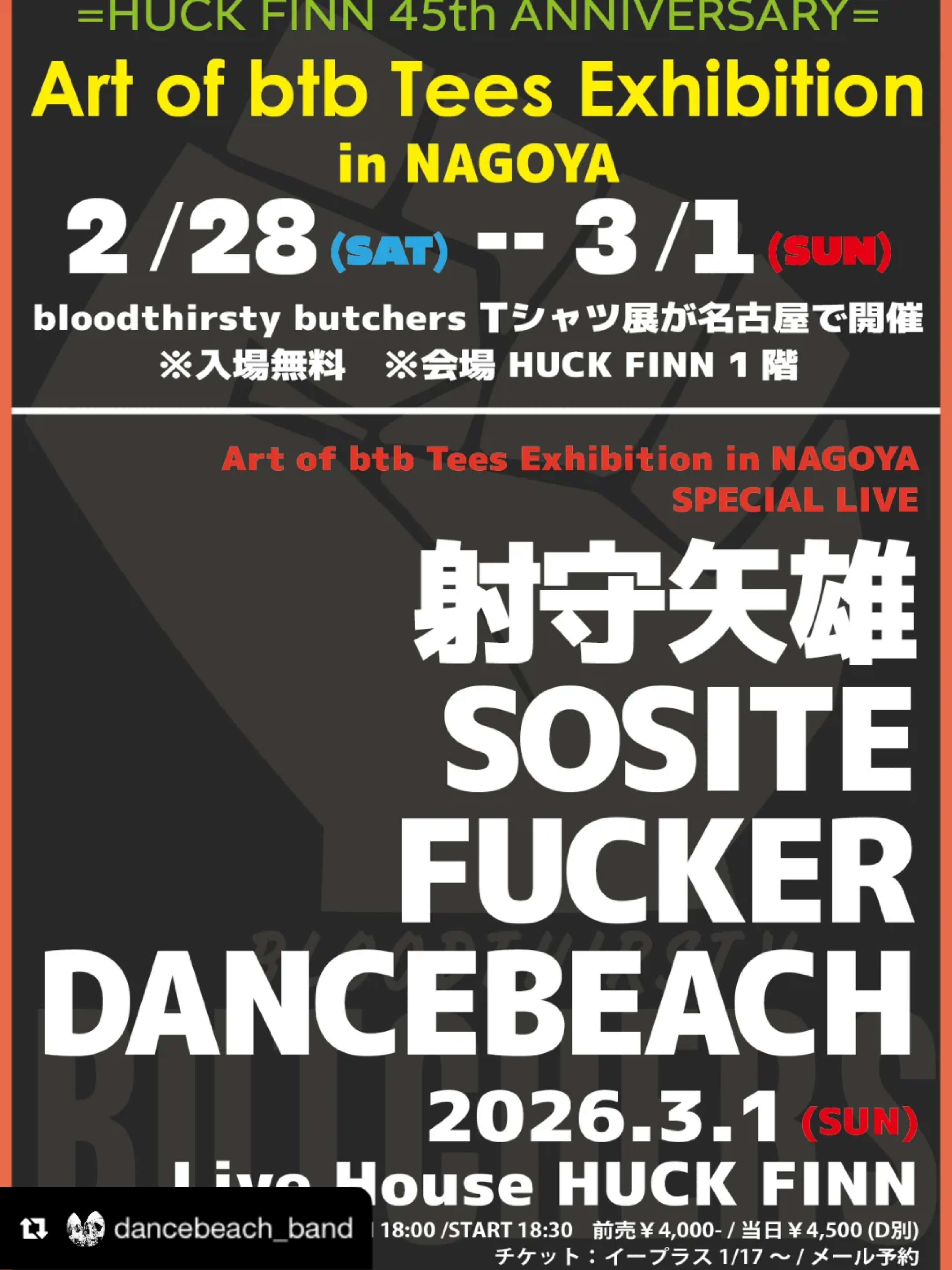 dancebeachライブ情報