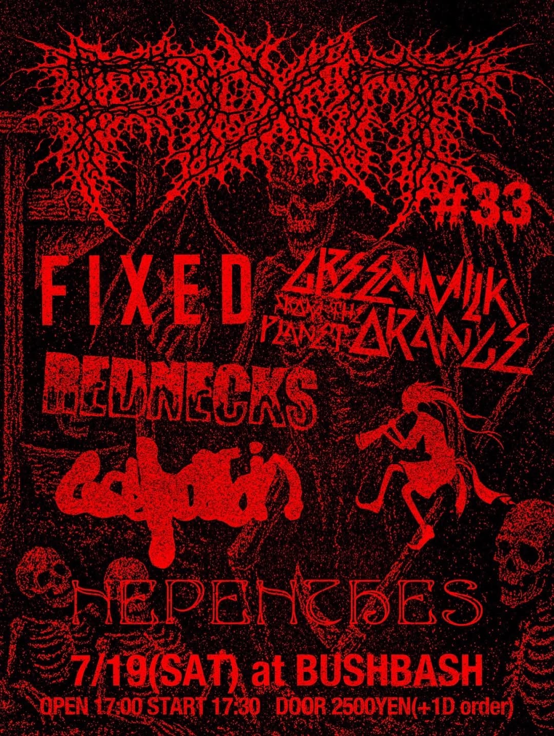 FIXEDライブ情報