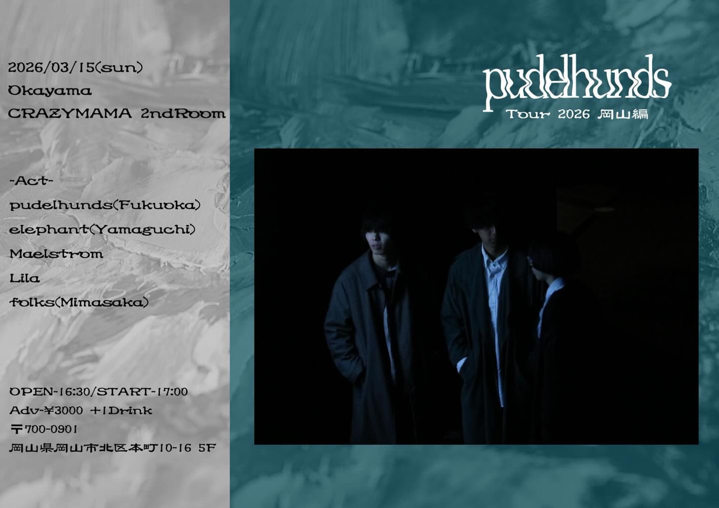 elephantライブ情報