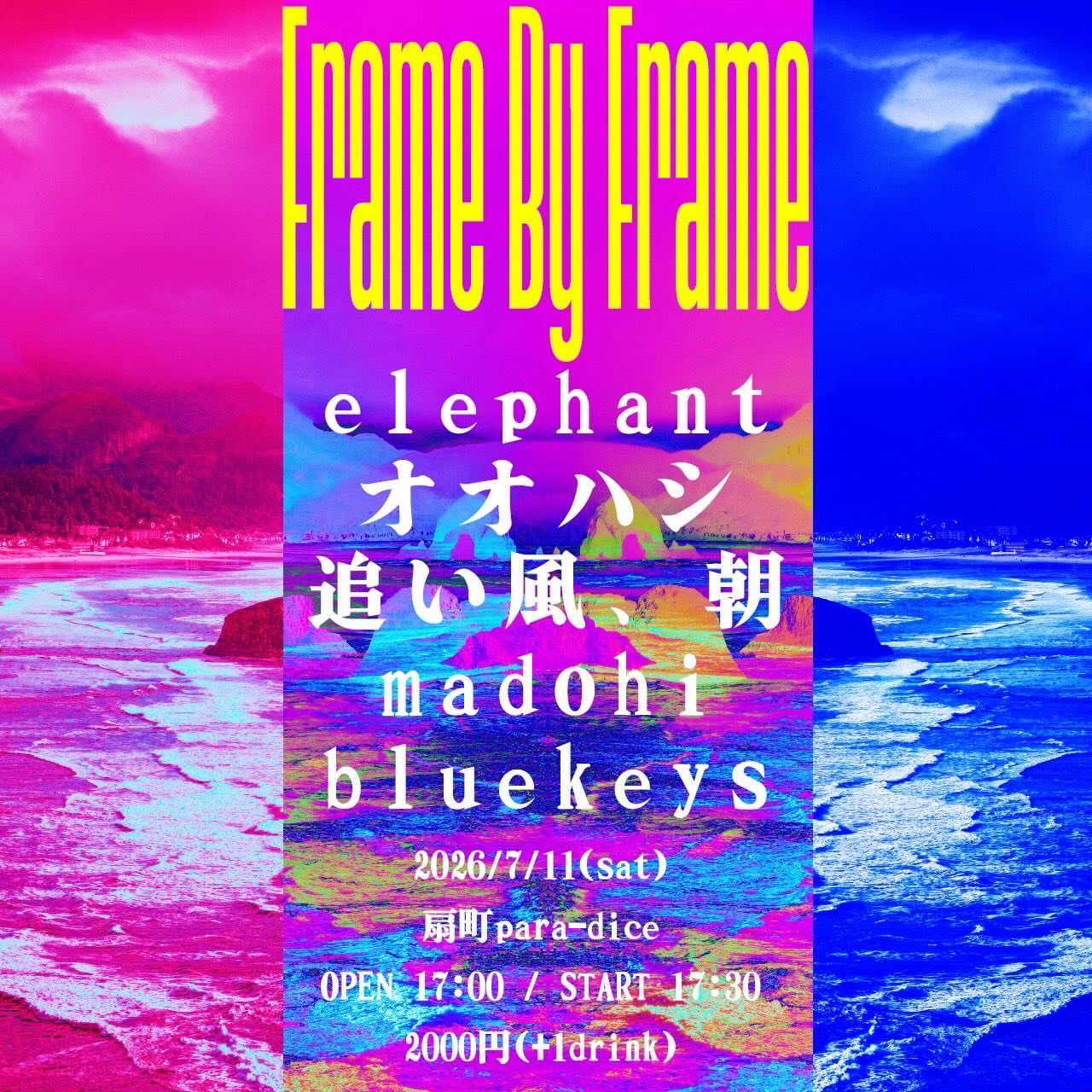 elephantライブ情報