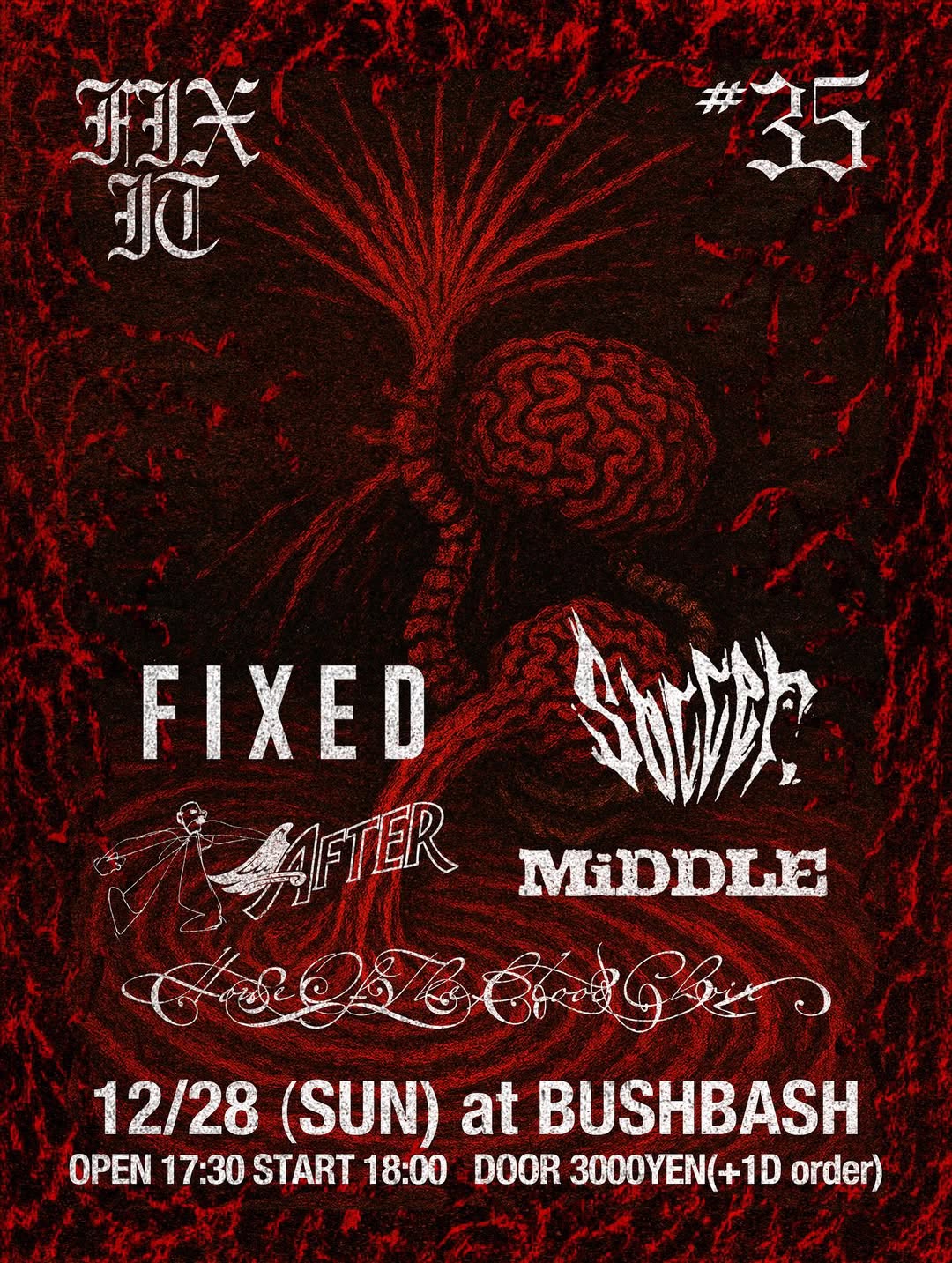 FIXEDライブ情報