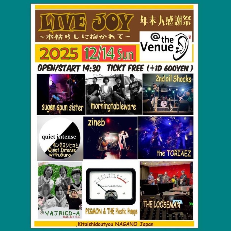 morningtablewareライブ情報