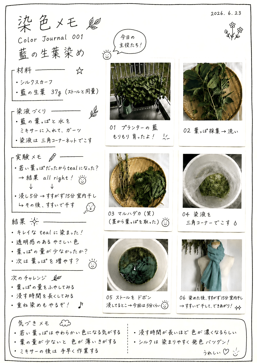 染色メモ Color Journal 001　藍の生葉染め
