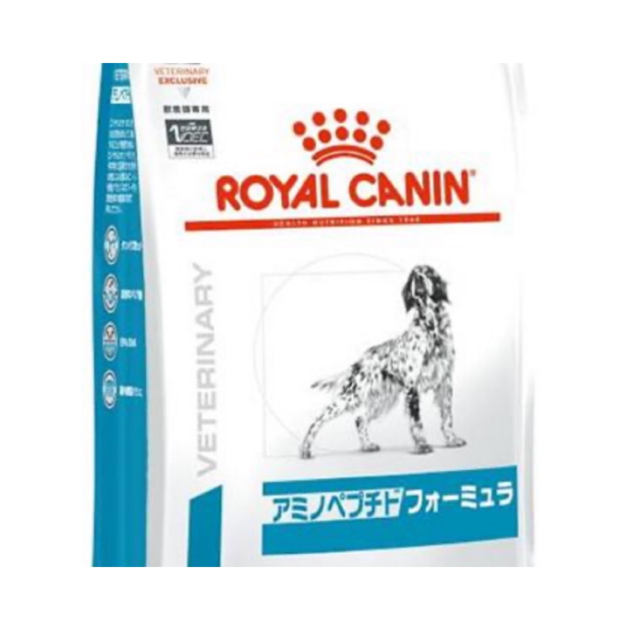 まろんのアレルギーについて 1