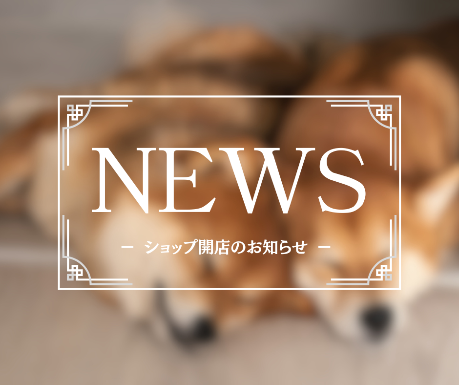 ショップ開店のごあいさつ📣