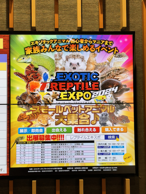 EXOTIC REPTILE  EXPO行ってきました！