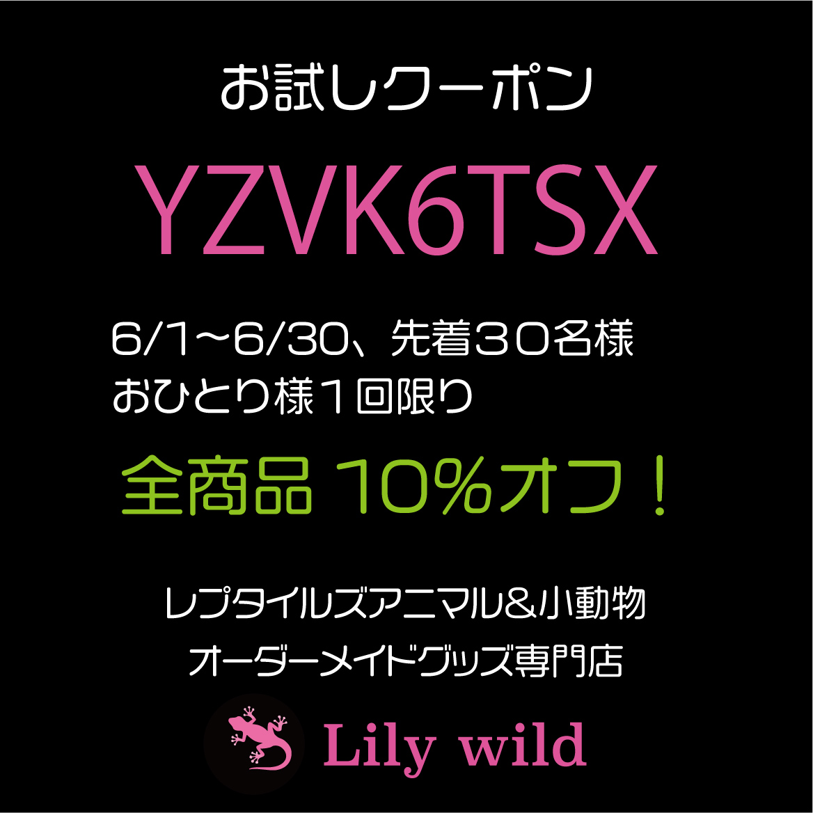 お試しクーポン始めました！