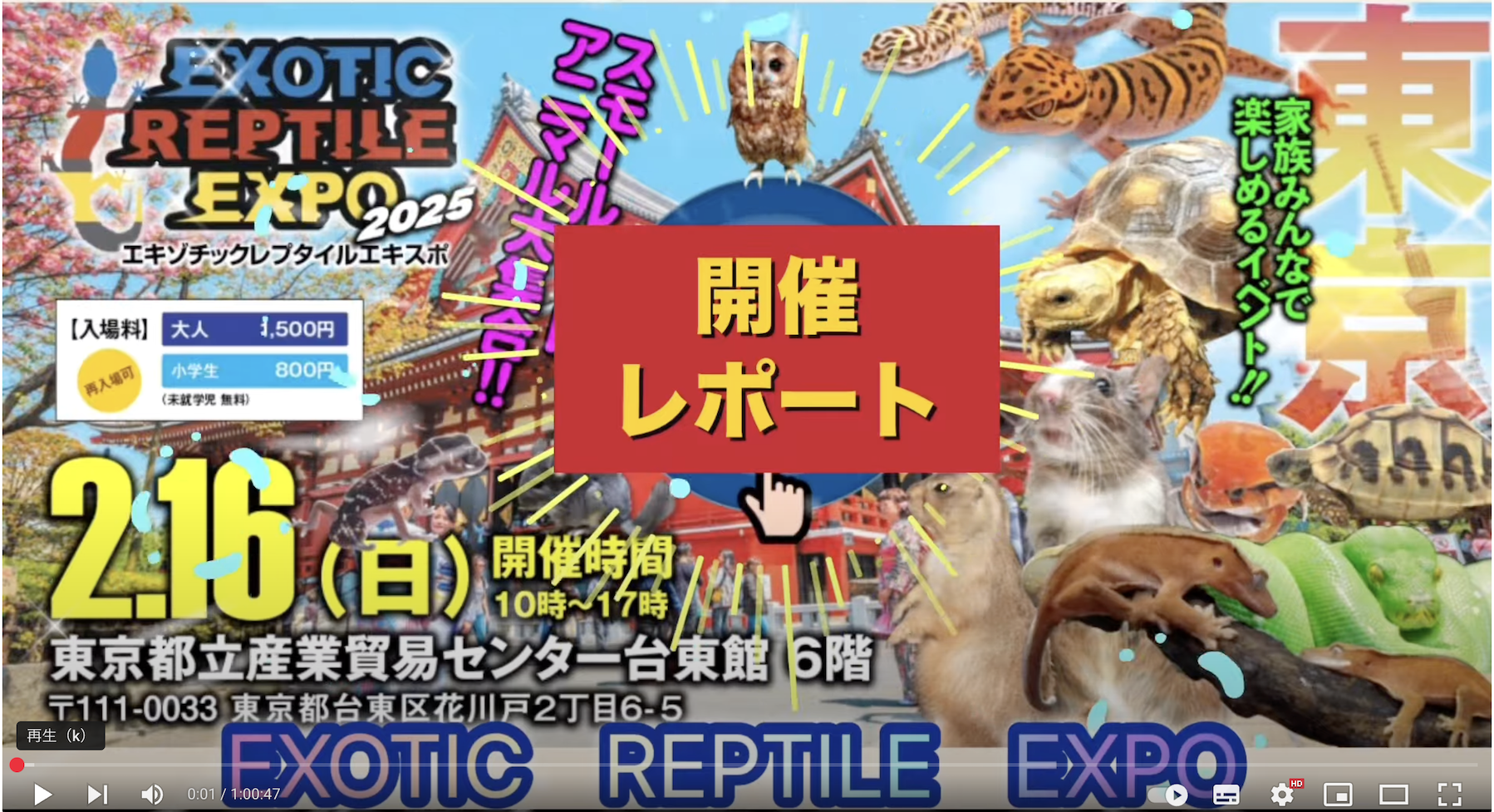EXOTIC REPTILE  EXPOレポートムービーでご紹介いただきました。