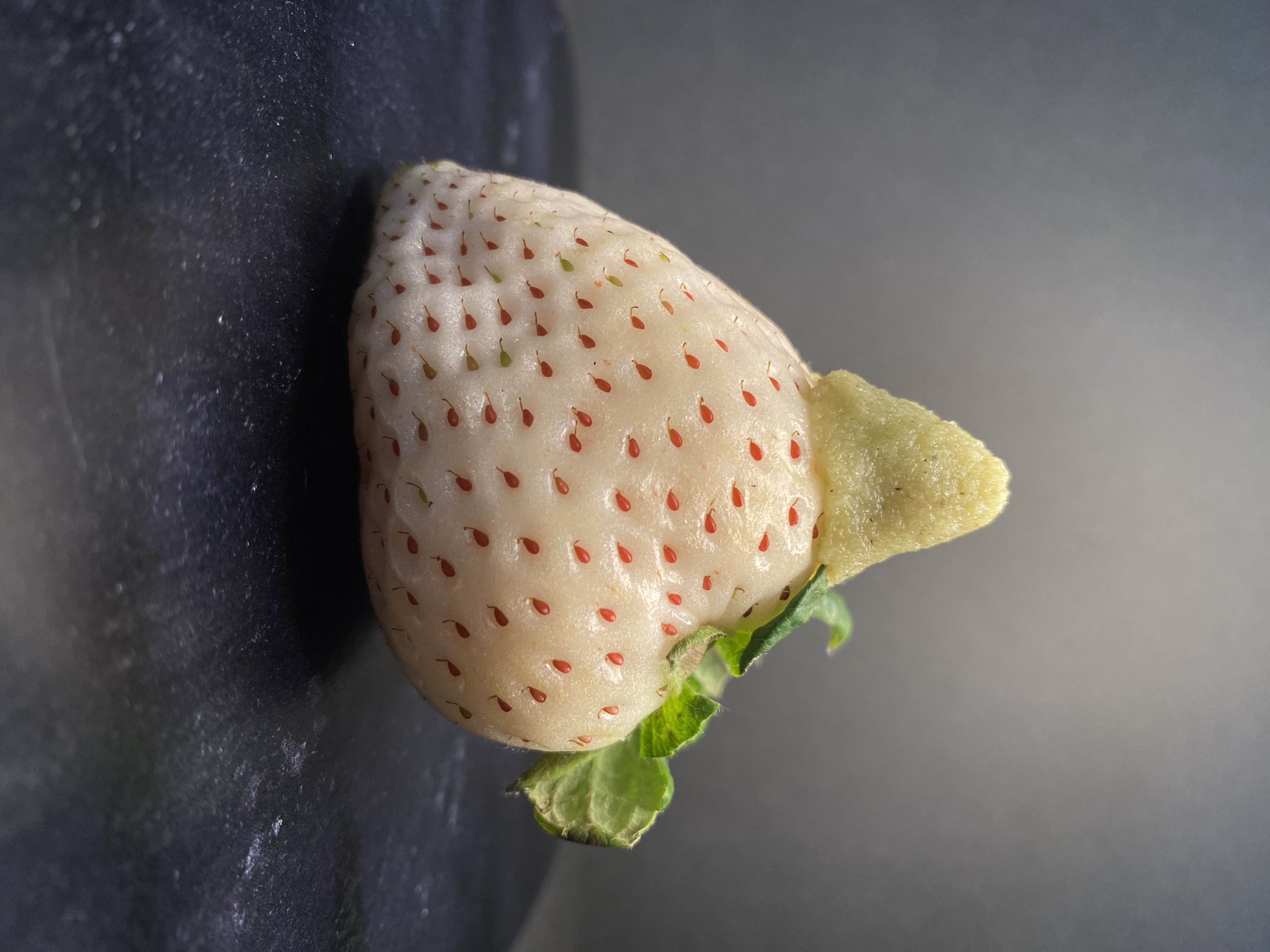 山葵とフルーツの相性