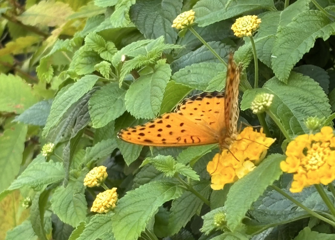 夏季休暇のお知らせ