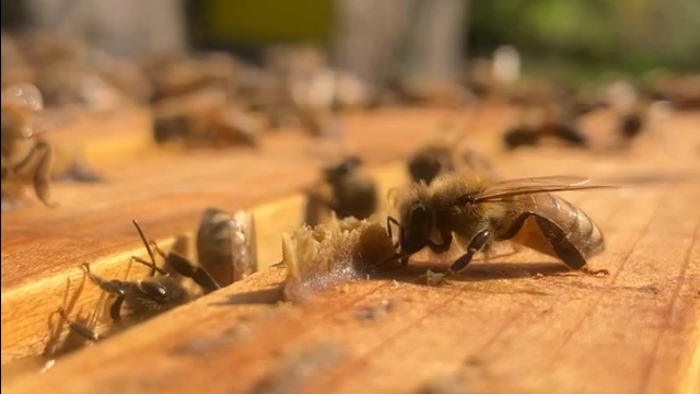 ブログを始めました!