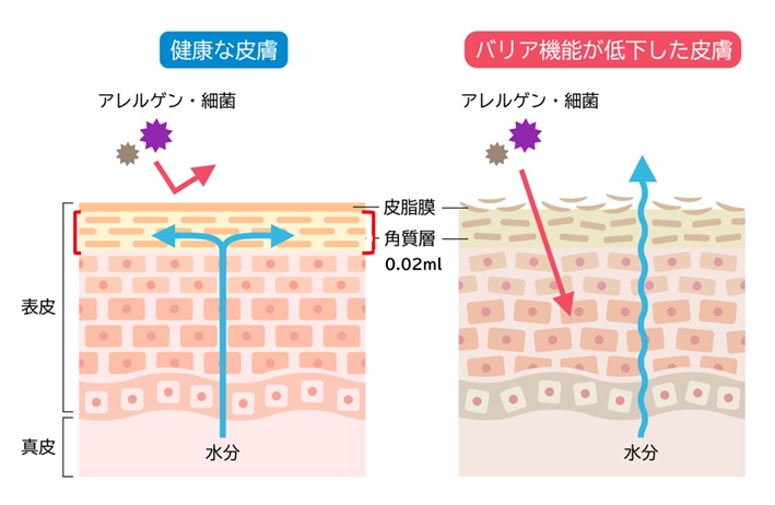 バリア機能は「ラップ1枚分」！？プロが選ぶシャンプーの秘密