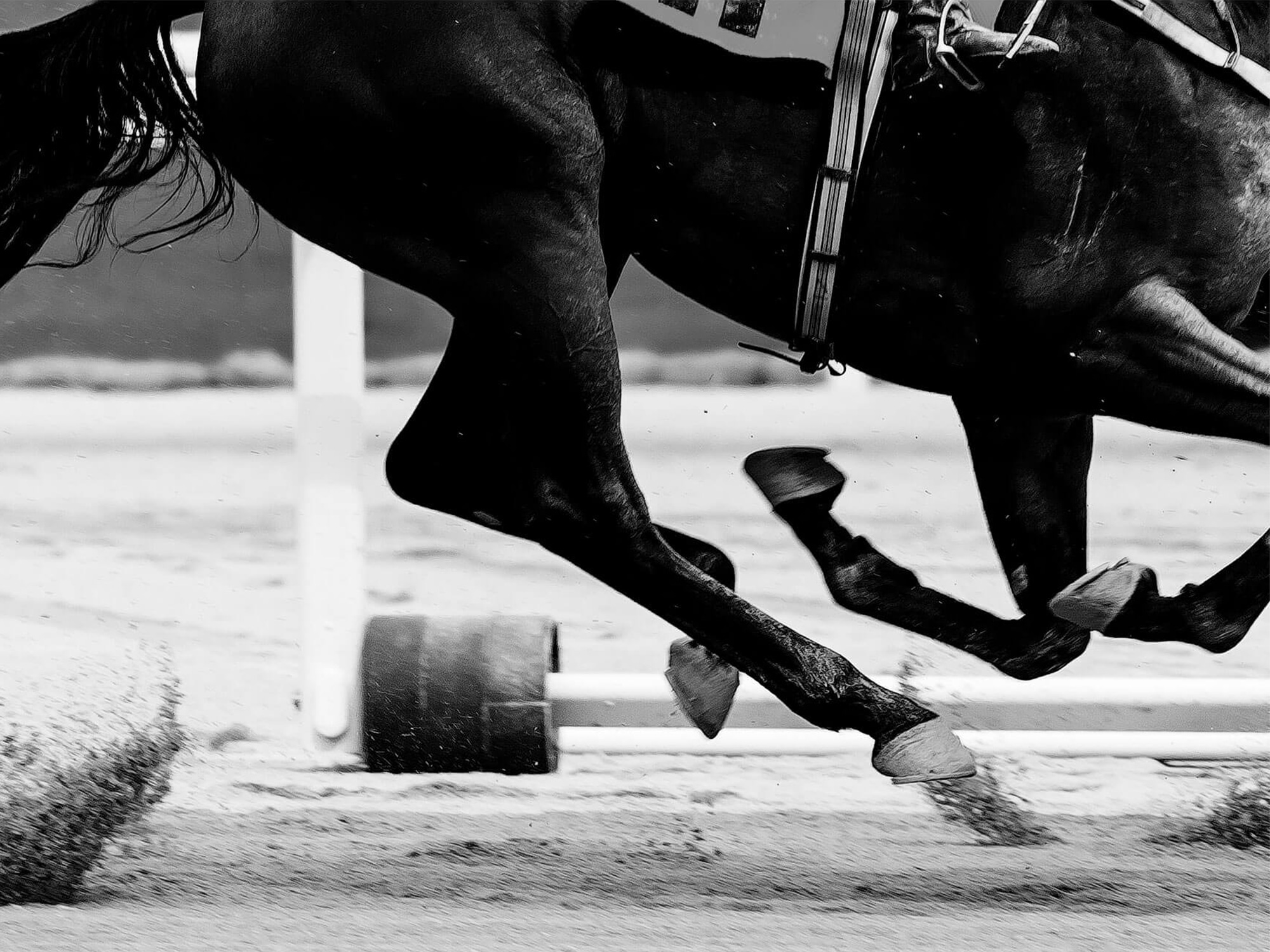 年末年始休業のお知らせ