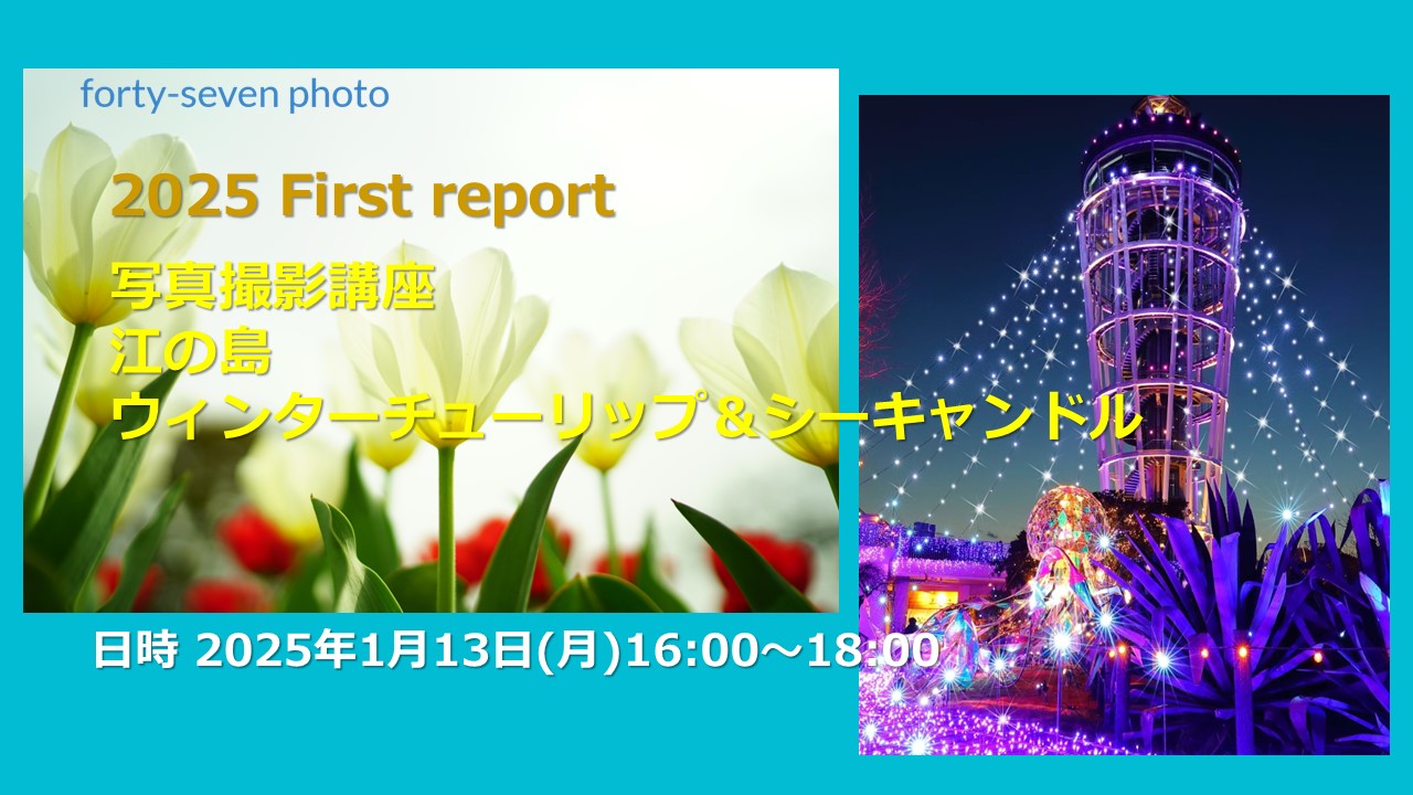 2025 First report