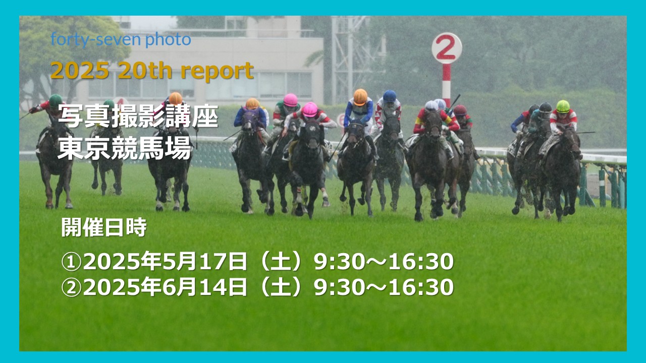 2025 20th report