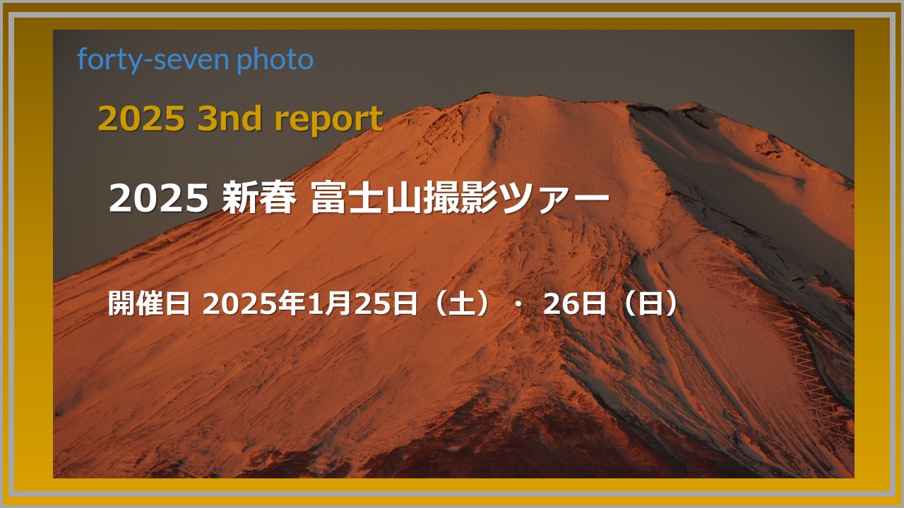 2025 3nd report