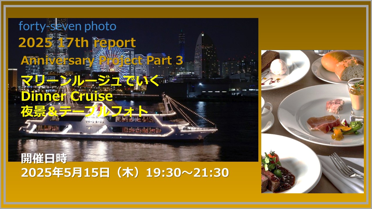 2025 17th report