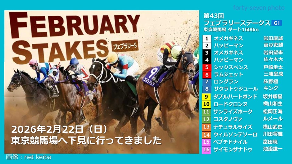 東京競馬場へ下見に行ってきました