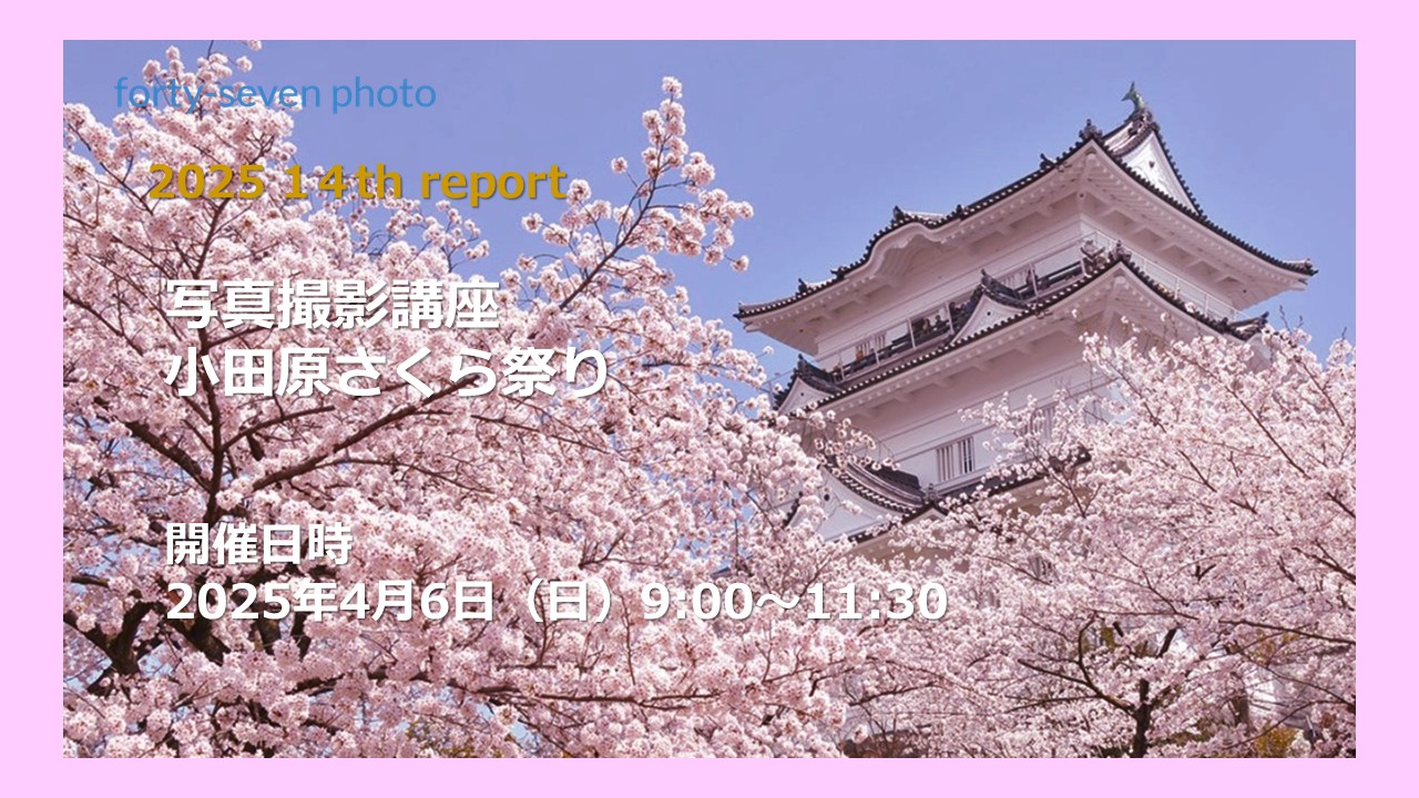 2025 14th report