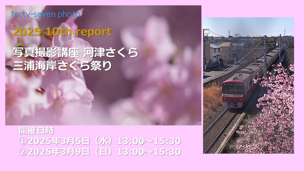 2025 10th report