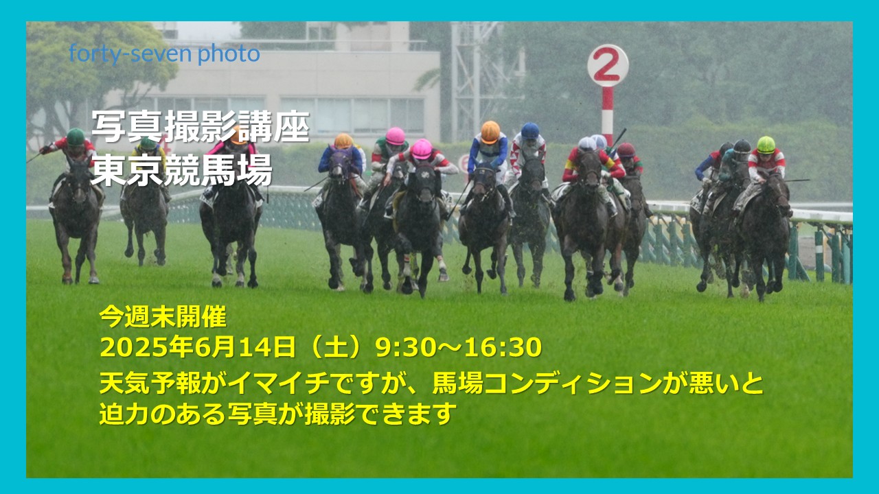 今週末開催の写真撮影講座 東京競馬場