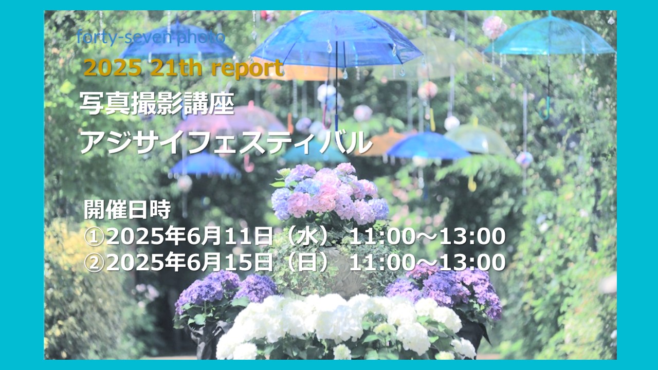 2025 21th report
