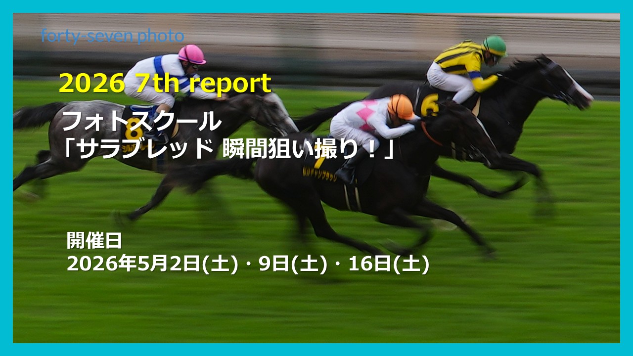 2026 7th report
