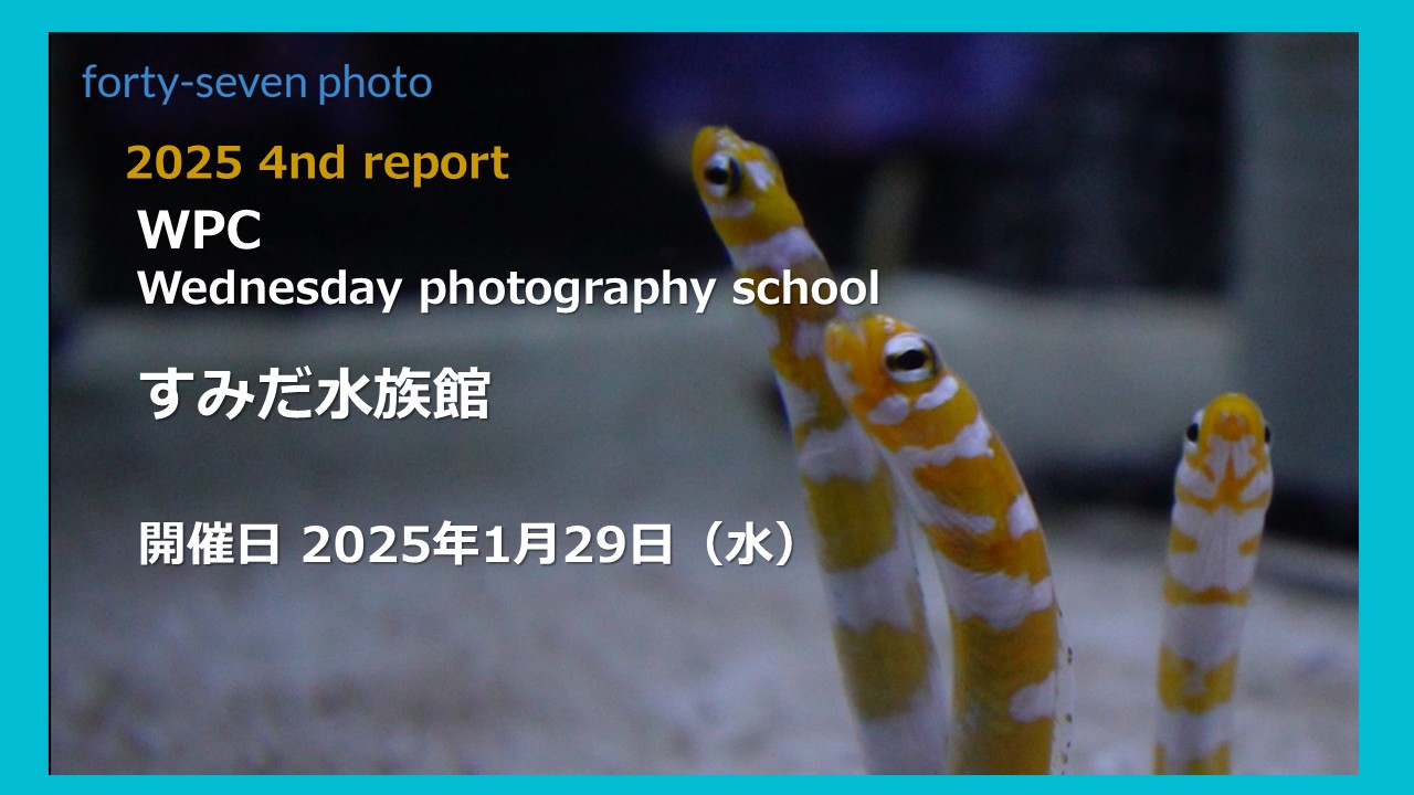 2025 4nd report