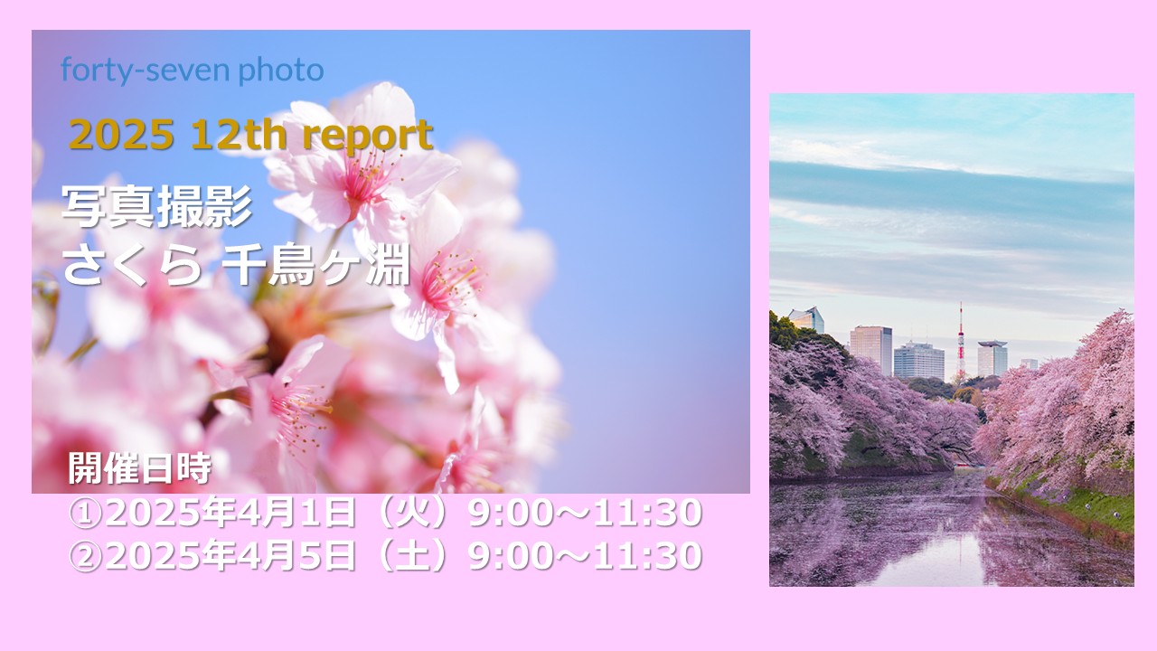 2025 12th report