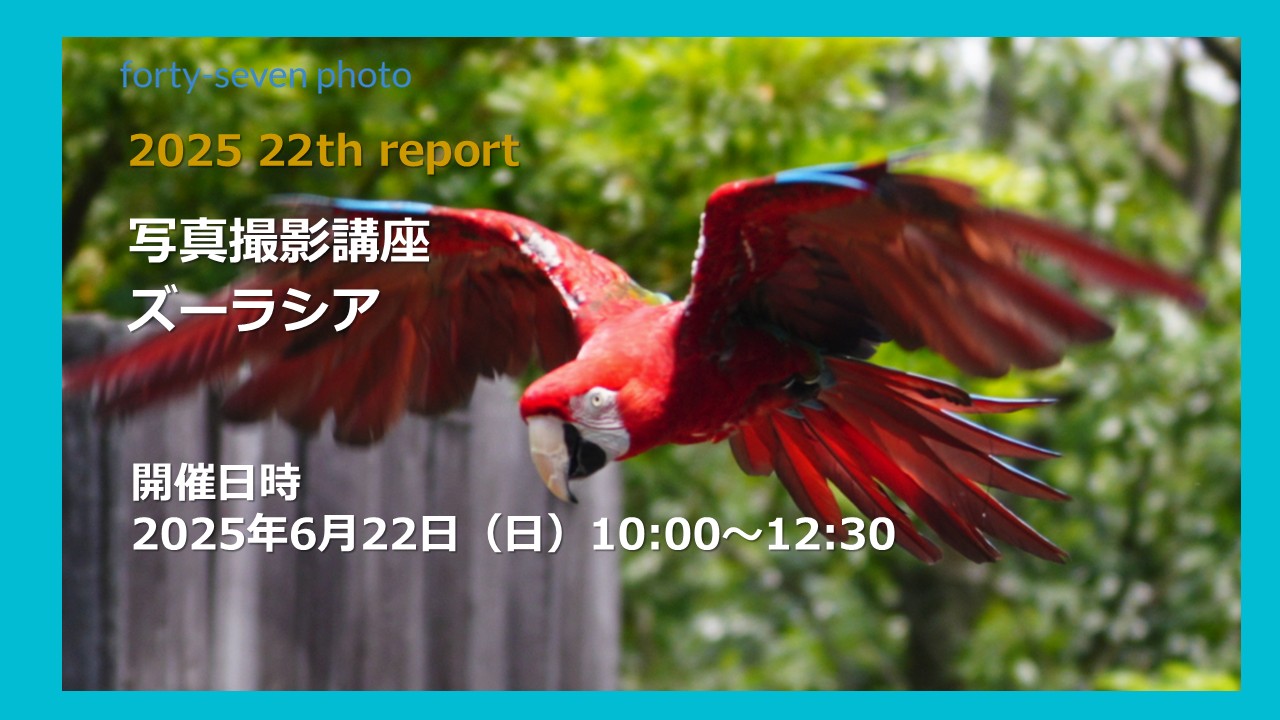 2025 22th report