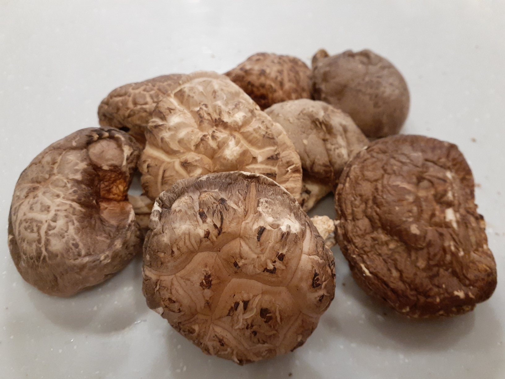 【簡単おだし】干し椎茸　どんこ　戻し方