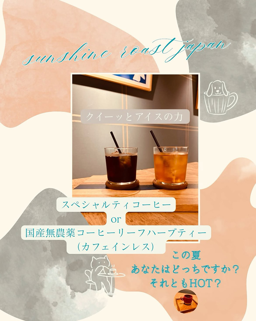 沖縄産コーヒーリーフハーブティーのご紹介