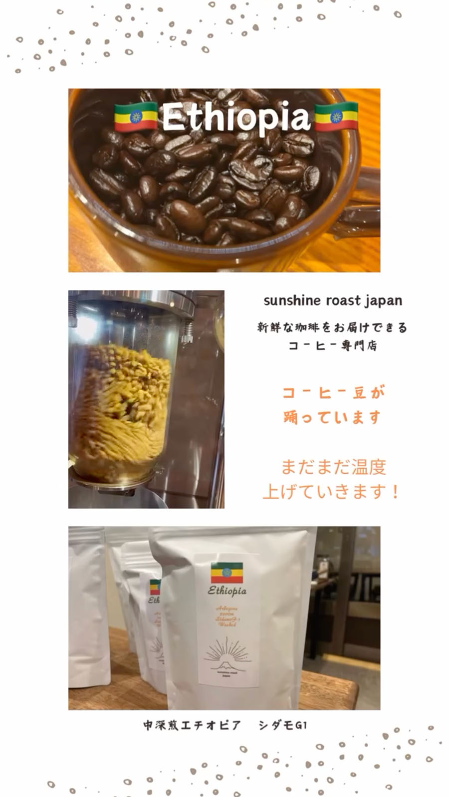 エチオピア🇪🇹シダモ地方のG1 スペシャルティコーヒー