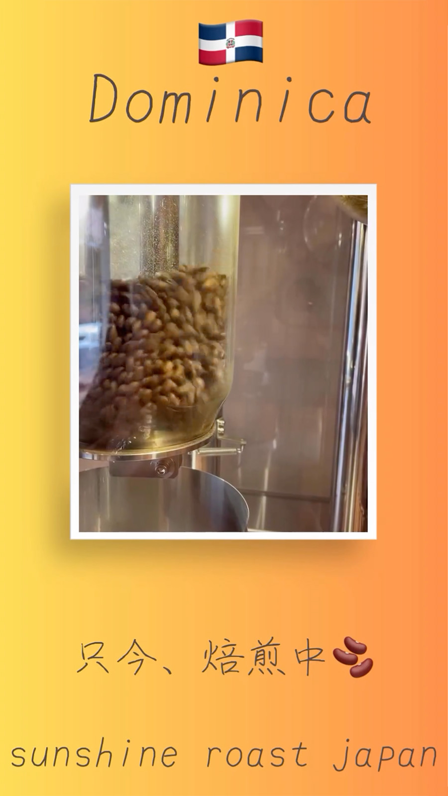 ドミニカ産コーヒー豆のご紹介