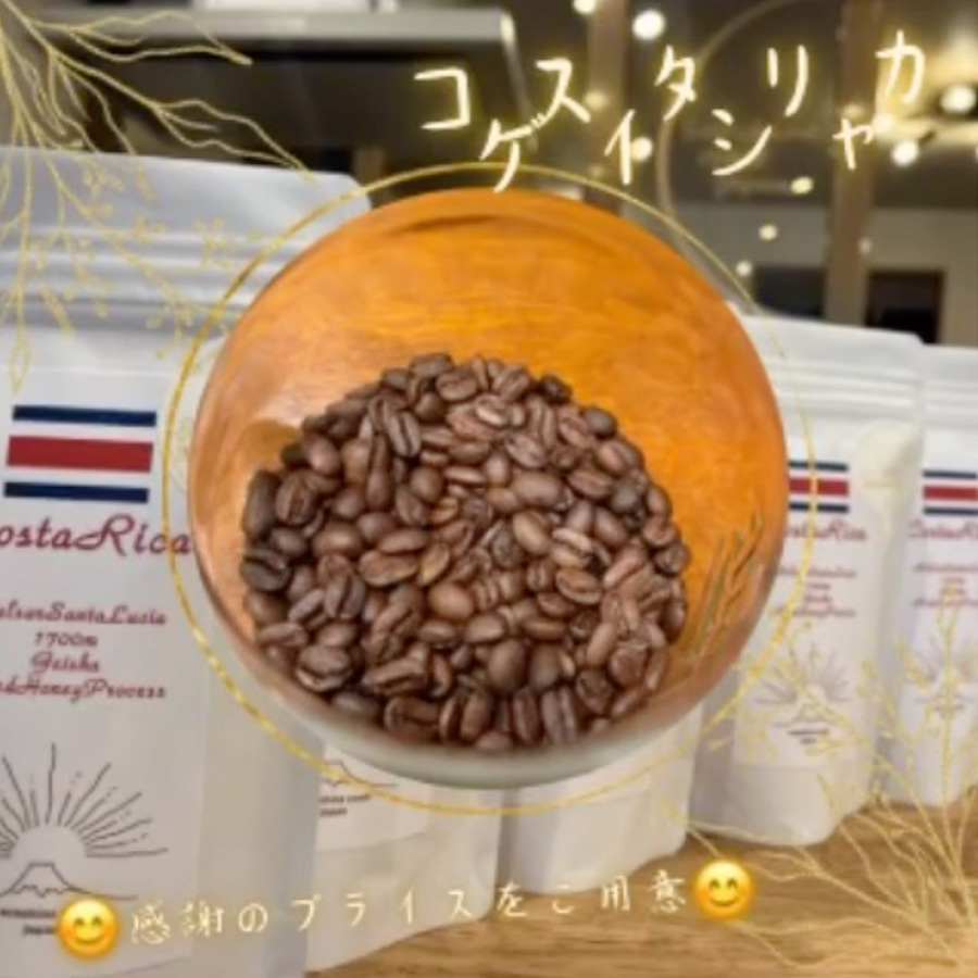 コスタリカのゲイシャをぜひ味わってみてください