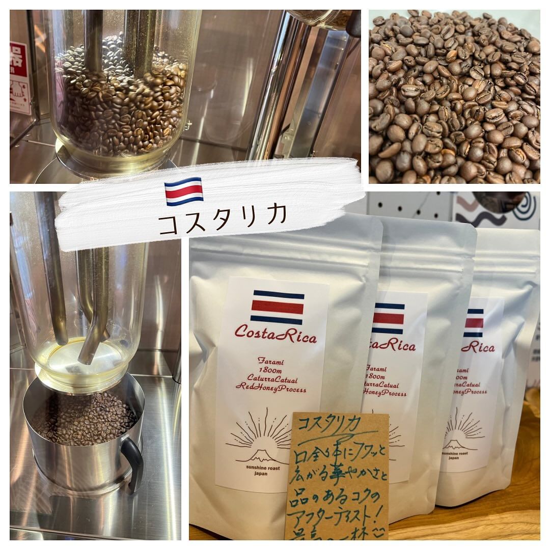 コスタリカ豆のご紹介
