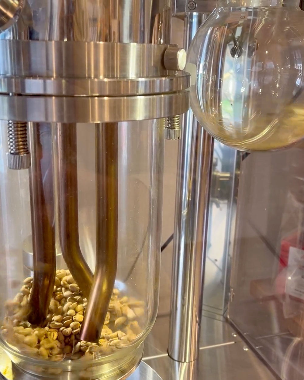 浅煎りコーヒーもお試しください