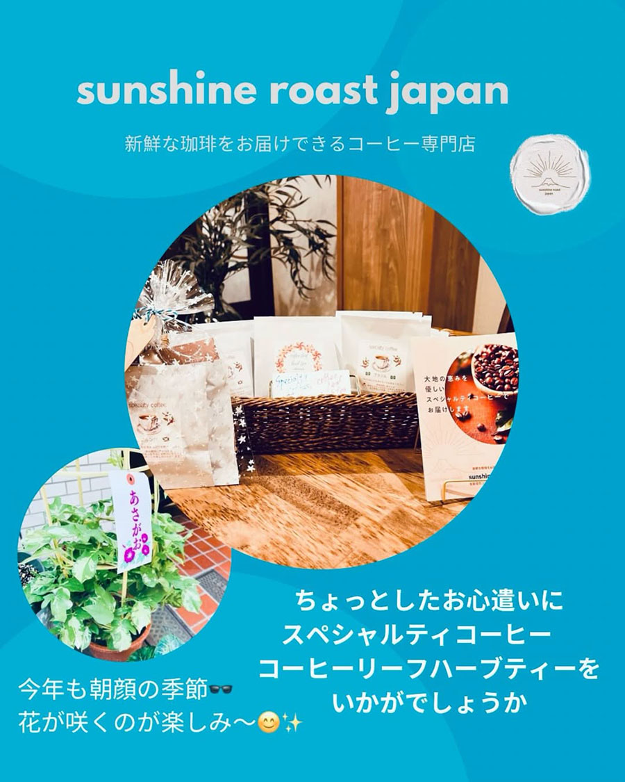 朝顔の季節がやって来ました