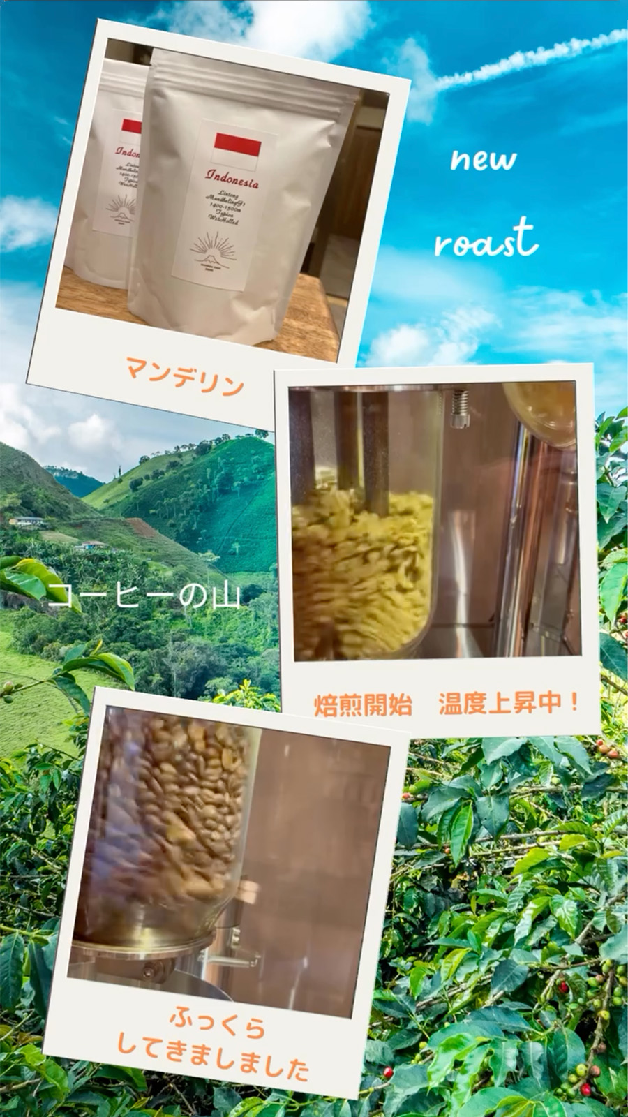 🇮🇩マンデリン　焙煎完了！