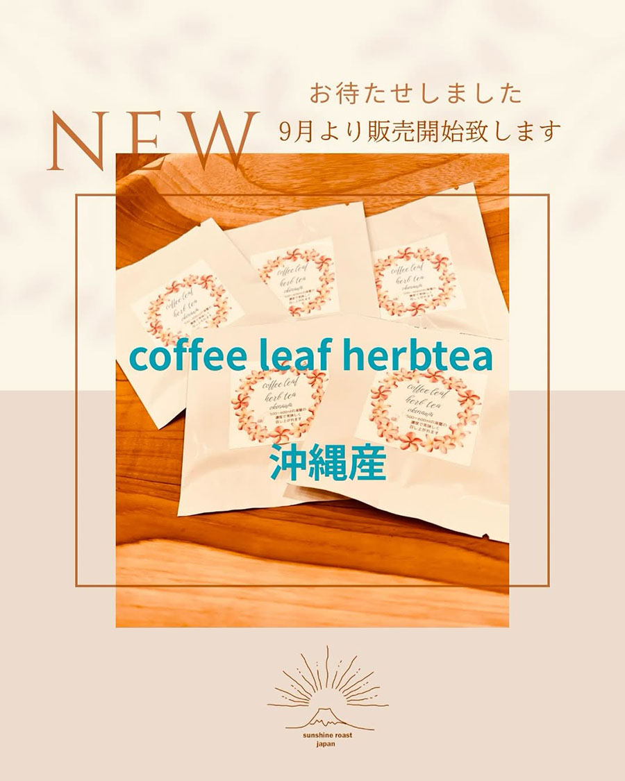 沖縄産coffee leaf herb tea の再販売のお知らせ
