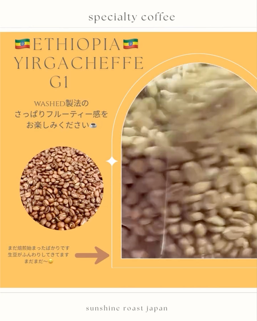 🇪🇹エチオピア🇪🇹イルガチェフェG1
