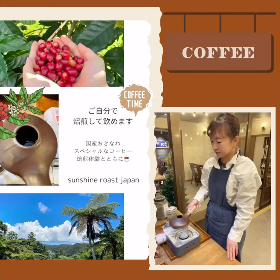 国産おきなわコーヒー豆、始まります！