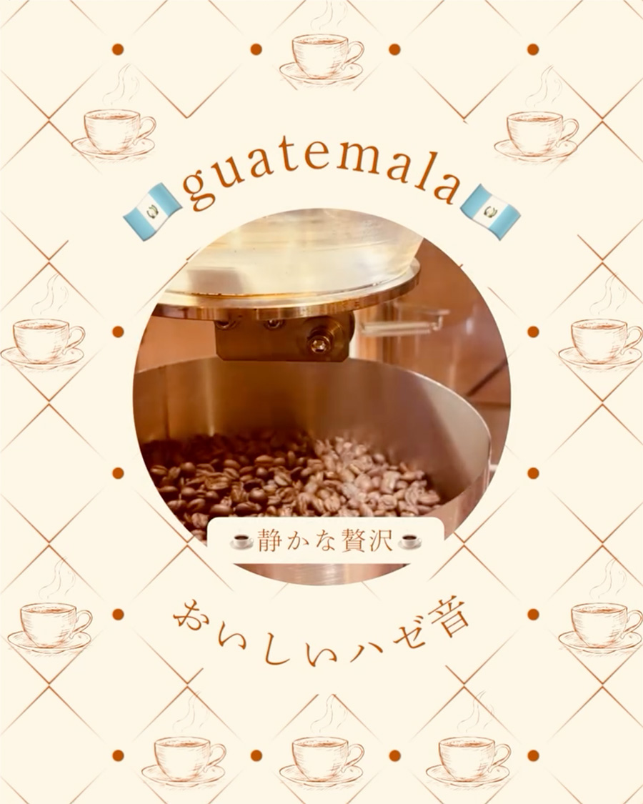 グアテマラのハゼ音🇬🇹