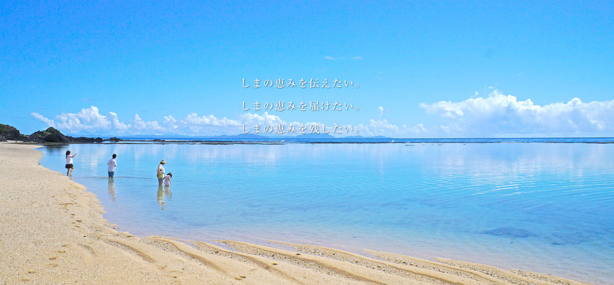 ここから徳之島や奄美大島の情報を発信していきます♪