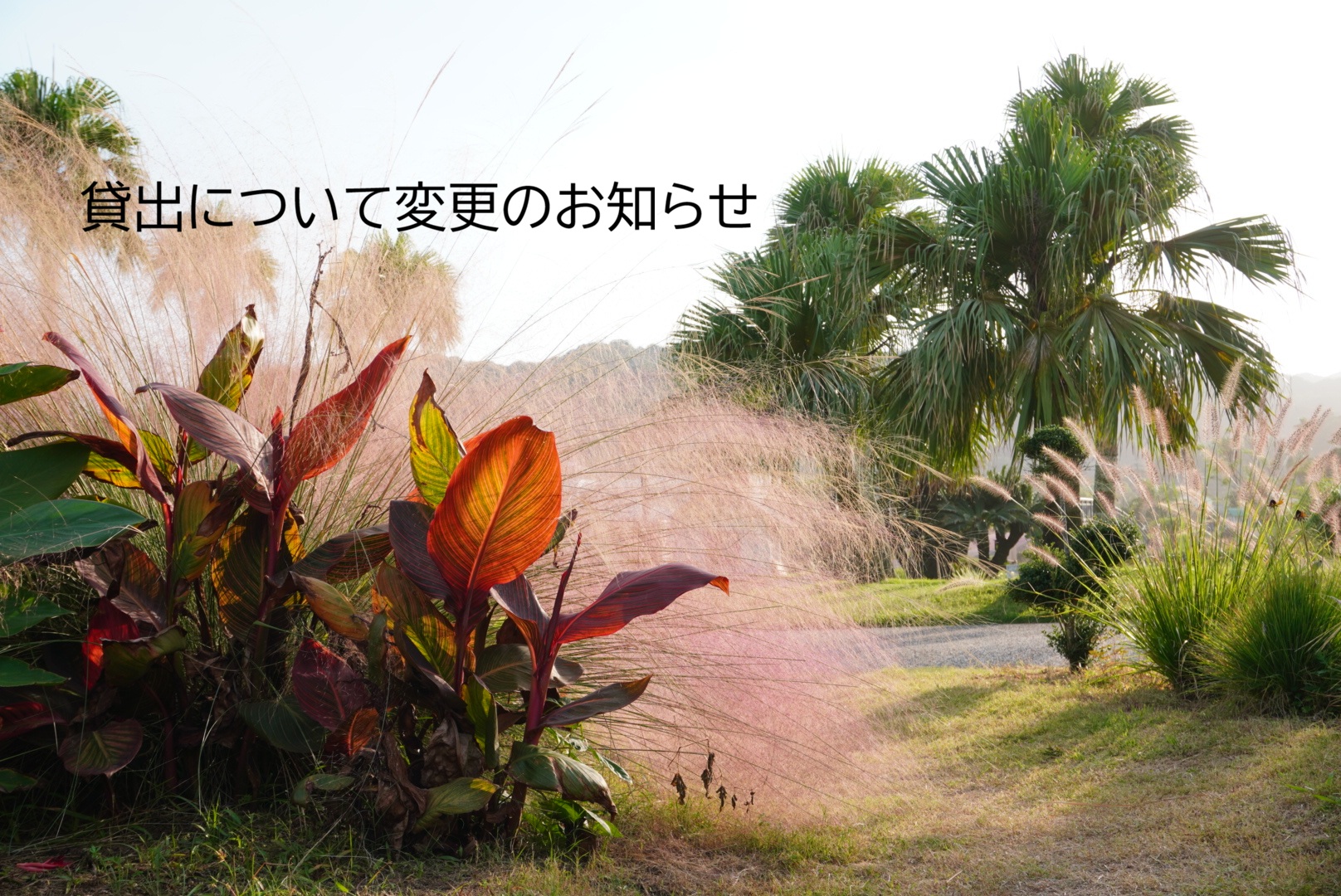 2026年より貸出料金&期間変更のお知らせ