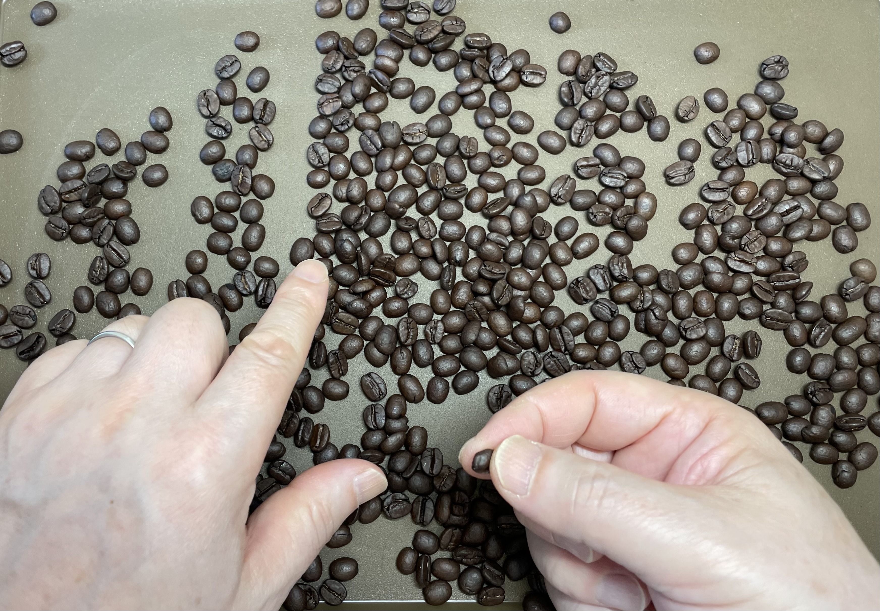 暑中お見舞い申し上げます☕