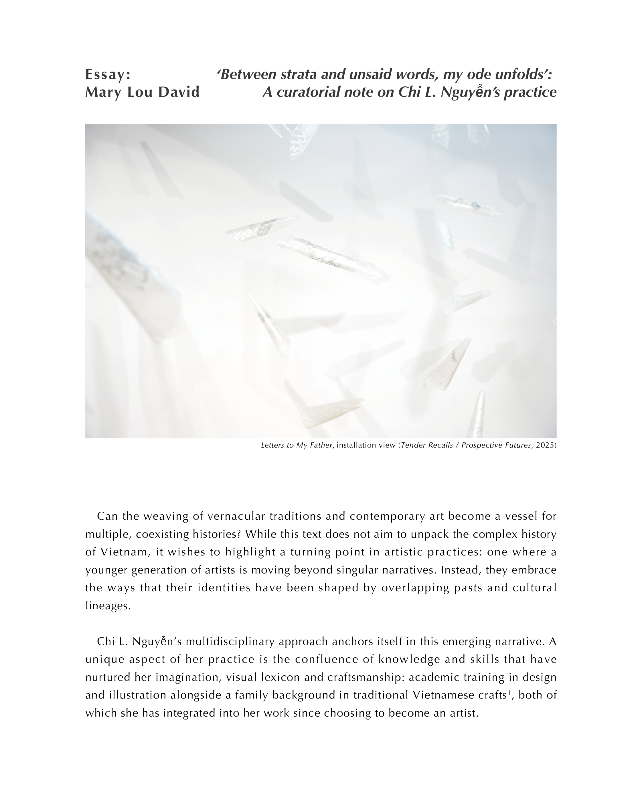 Essay: Mary Lou David ~2025 autumn~