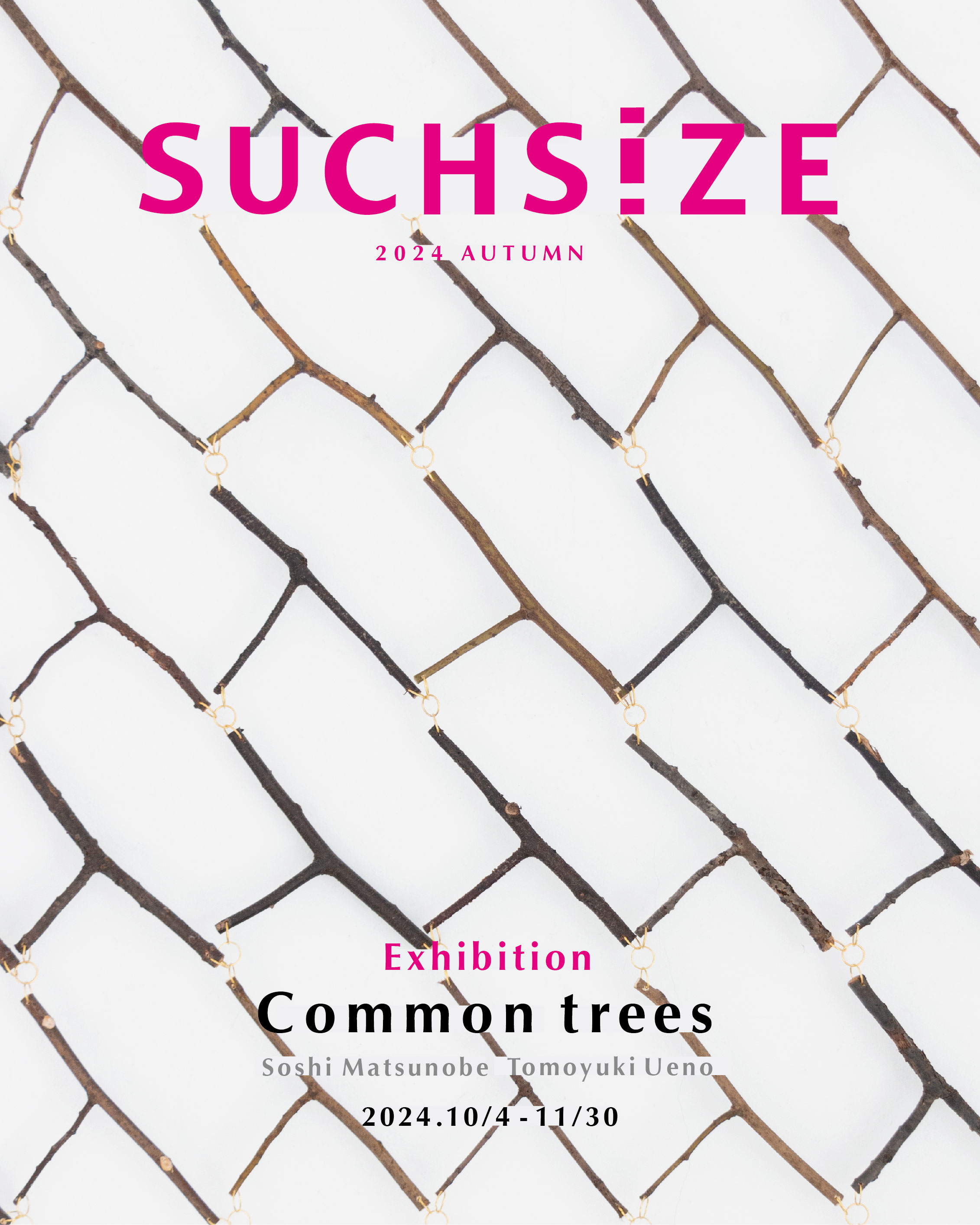 Exhibition ~2024 autumn~ 《 Common trees 》