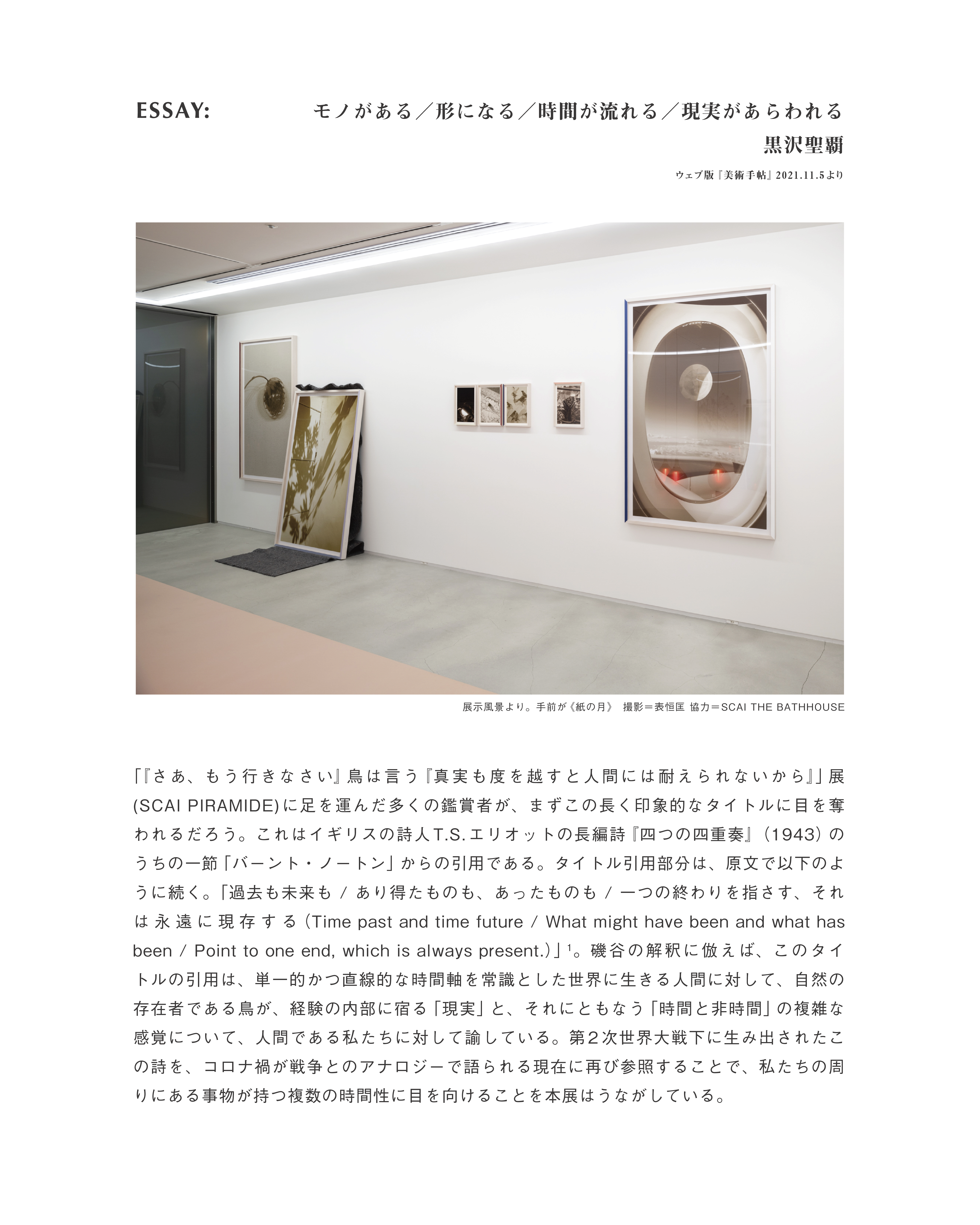 Essay: Seiha Kurosawa ~2026 autumn~