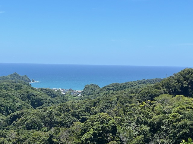 やっぱり涼しい!!!